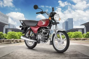 Baja Cilindrada en Perú - Galgo